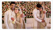 বিচ্ছেদের গুঞ্জনের মাঝে পাকিস্তানি অভিনেত্রীকে বিয়ে করলেন শোয়েব মালিক 