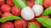পাকা মিষ্টি লিচু যেভাবে চিনবেন 