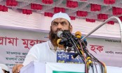 বাংলাদেশকে অন্তঃসারশূন্য একটি পরনির্ভরশীল দেশে পরিণত করতে চেয়েছিল শেখ হাসিনা: মামুনুল হক