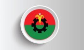 ১৬ এপ্রিল প্রধান উপদেষ্টার সঙ্গে সাক্ষাত করবে বিএনপি, চাইবে নির্বাচনী রোডম্যাপ