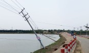 ভালুকায় কালবৈশাখী ঝড়ে উপড়ে পড়েছে পিডিবির একাধিক খুঁটি