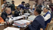 সংস্কার কমিশনগুলোর প্রস্তাব নিয়ে রাজনৈতিক দলগুলোর সঙ্গে আলোচনায় নতুন প্রস্তাব এসেছে: আলী রীয়াজ