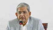 দেশের ফ্যাসিস্ট বিদায় নিলেও গণতন্ত্র এখনো ফিরে আসেনি: মির্জা ফখরুল 