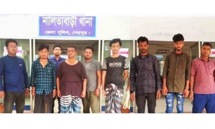 নালিতাবাড়ী সীমান্তে অবৈধ অনুপ্রবেশের দায়ে আটক ৮