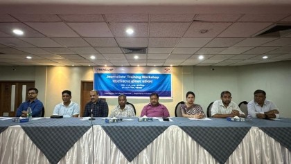 মানবিক করিডোর নিয়ে কোনো সিদ্ধান্ত হয়নি: উপ-প্রেস সচিব