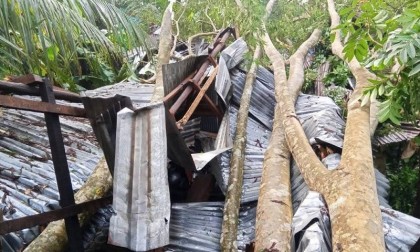 আকস্মিক ঝড় ও ভারী বৃষ্টিতে বিপর্যস্ত হয়ে পড়েছে শরণখোলা