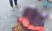 পটিয়ায় ছোট ভাইয়ের মোটরসাইকেল থেকে ছিটকে পড়ে বড় বোন নিহত