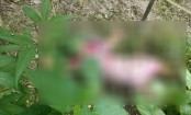 সিরাজগঞ্জে নারী গ্রাম পুলিশ সদস্যের মরদেহ উদ্ধার