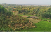 কক্সবাজারের টেকনাফে পাহাড়ি সংলগ্ন এলাকায় দফায় দফায় গোলাগুলি, গ্রামজুড়ে আতঙ্ক