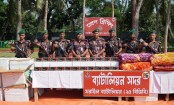 ব্রাহ্মণবাড়িয়ার বিজয়নগরে ১২ কোটি টাকার ভারতীয় পণ্য জব্দ