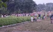 ভাঙ্গায় আধিপত্য নিয়ে দুই পক্ষের পৃথক সংঘর্ষ, আহত ২৩