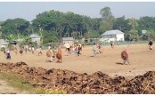 সালথায় দু’পক্ষের সংঘর্ষে আহত শতাধিক, বাড়িঘর ভাঙচুর-লুটপাট
