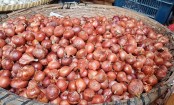 আমদানির খবরে পাবনায় পেঁয়াজের দামে বড় দরপতন