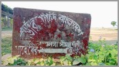 রৌমারী সীমান্তে গরু নিয়ে গ্রামবাসী-বিজিবি সংঘর্ষ