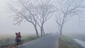 শৈত্যপ্রবাহ নিয়ে অধিদপ্তরের নতুন বার্তা
