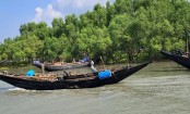 সুন্দরবনে ২৪ ঘণ্টায় ১৮ জেলে অপহরণ