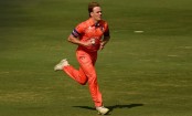 নেদারল্যান্ডস ক্রিকেটে নতুন অধিনায়ক পেল 
