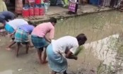 খানাখন্দে ভরা সড়কে ধানের চারা লাগিয়ে এলাকাবাসীর প্রতিবাদ