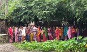 রাস্তা পারাপারের সময় মোটরসাইকেলের ধাক্কায় বৃদ্ধার মৃত্যু