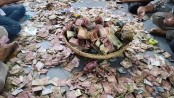 আখাউড়ায় কেল্লা বাবার মাজারের দানবাক্সে মিলল কোটি টাকা!